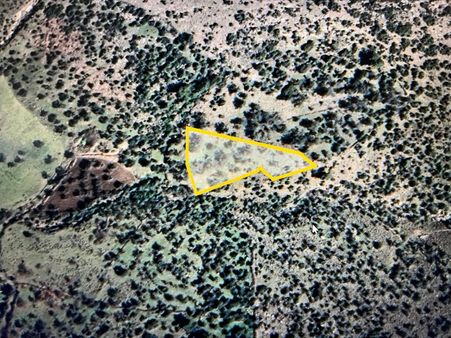 Yukarıköy’de Satılık Zeytinlik