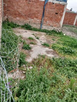 Bergama Ayazkent Mahallesinde Satılık Arsa