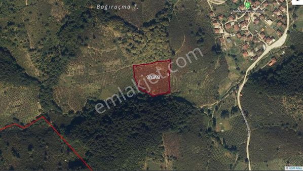 Akmanoğlu Emlak'tan Satılık Güldere Köyünde 9276 M2 Fındıklık