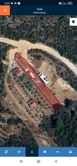 Fethiye Yeşil Üzümlü De Satılık Tarla