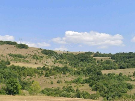 Rt Safir'den İznik Derbent Mahallesi'nde Satılık Tarla