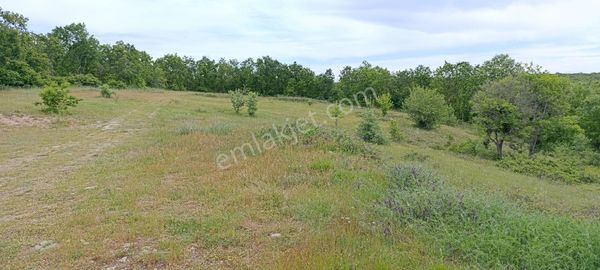 Ata Gayrimenkul Den Satılık Tarla
