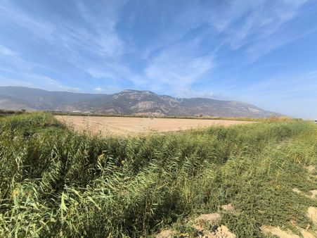 Startkey Platin'den Söke Güllübahçe'de 19 Dönüm Boş Tarla!