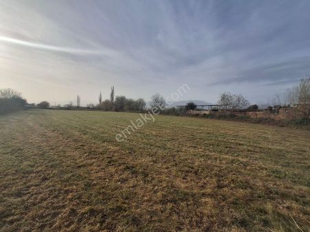 Nazilli Alkan Gayrimenkul Den Satılık Tarla