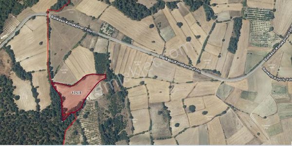 Bereketli Mah. Asfalta Yakını Düz Tarla