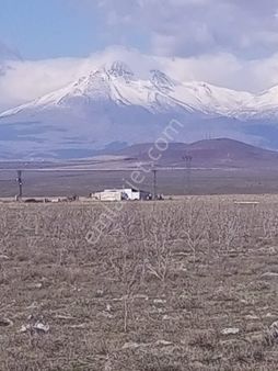 Kutören Mahallesinde 42727 M2 Satılık Tarla (öğütlü Emlak Tan)