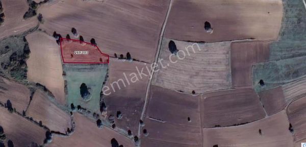 Elfi Den Kamçılı Mahallesinde Satılık Tarla