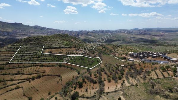 Akkuş Emlak’tan Satılık Villalık Ve Hobi Bahçelik Bağ