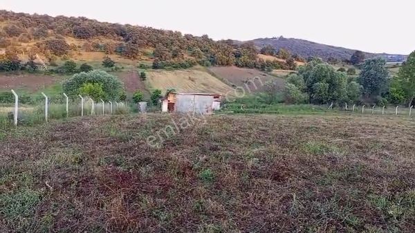Yenişehir Akbıyık Köyünde Satılık Tarla Ve Bağ Evi
