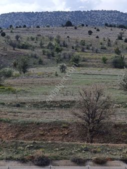 Yakacık Mahallesi Hobi Bahçelik 3 Adet Tapu