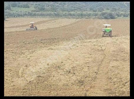 Aydın Çine Saraçlarda 26 Dönüm Satılık Tarla