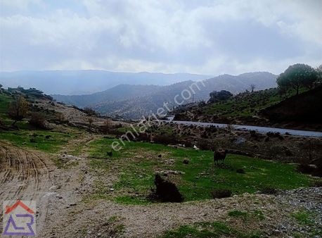 Köyün İçinde 4 Dönüm Köşebaşı Arsa