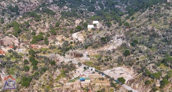 Milasa 8km Köy İçi Ev Yapılabilir Bahçe