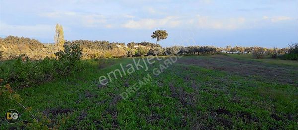 Bursa Osmangazi Gündoğdu Köyünde Bursa Manzaralı Yok Artık Tarla