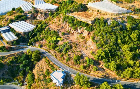 Satılık 6.088/2.500 M² Tarla Hissesi, Alanya-toslak
