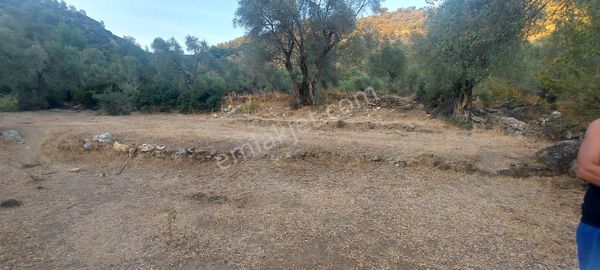 Ekindere De Köye Yakın Satılık Bahçe