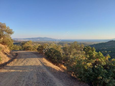 Dikili Eskikıratlıda Satılık Köyiçi 178m2 Arsa Nitelik Arsa