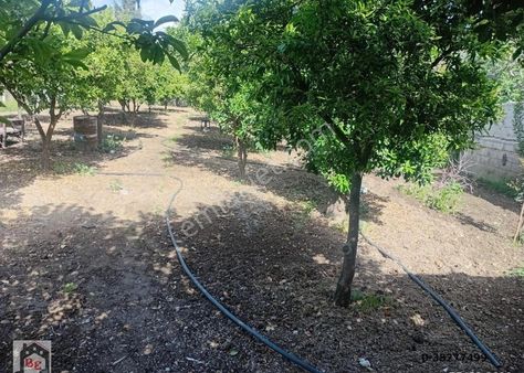 Beste'den Akkapı Mah. Merkezde 675 M2 İmarlı Satılık Arsa