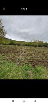 Tokat Erbaa Doğanyurt Da Satılık 2137 M2 Tek Tapu Arazi