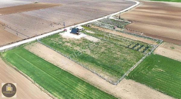 Göle Sıfır Asfalt Üstü 5160 M2 Dubleks Eşyalı 2+1 Bungalov