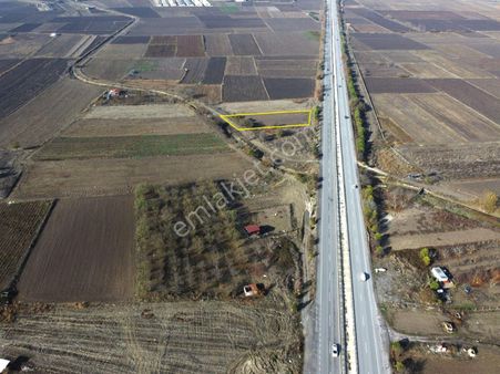 Elfi Den Üniversite Yoluna Cephe Tarla