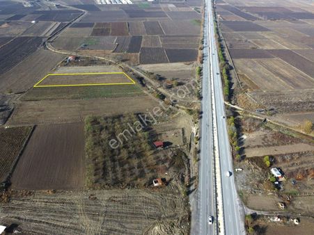 Elfi Den Üniversite Yolu Üzerinde Tarla