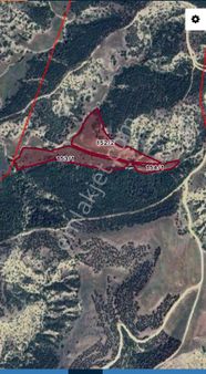 Ppamukkale Kocaderede 38 Dönüm Fırsat Arazi