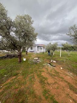 "torbalı'da Doğa İle İç İçe, Hayallerinizin Prefabrik Evi Ve Zeytin Bahçesi Sizleri Bekliyor!"