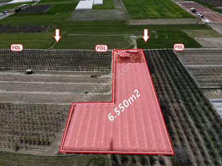 Antalya Elmalı Düdenköy Mah'de Elektriği, Sondajı Ve Yolu Bulunan 6.650m2 Satılık Kapalı Sera