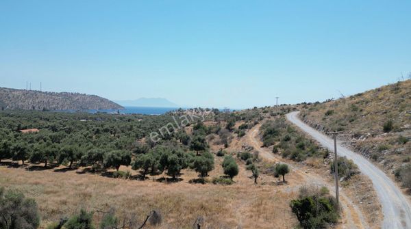 Muğla Milas Çökertme'de Her Bütçeye Uygun Deniz Gören Arazi