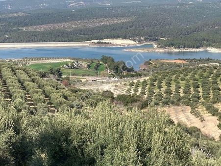 Araç Takasına Açık Köydibi Parseller