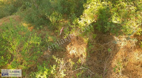 Soğucak Manzara Evleri Araç Takaslı Arsa