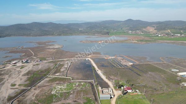Milas Dörttepe'de Bodrum Milas Karayoluna 1km Mesafede 11 Dönüm Tarla
