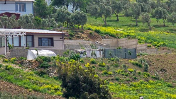 Antakya Açıkdere Mah.mobsan Sanayi Sitesi Karşısı Satılık Tarla