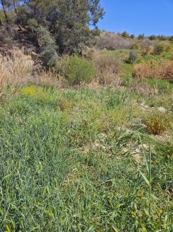 Mezitli Çevlikte Cazip 105 M2