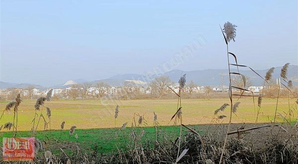 Demirtaş Sanayii Dibinde Sanayi İmarına 400 Mt Kupon Arazi