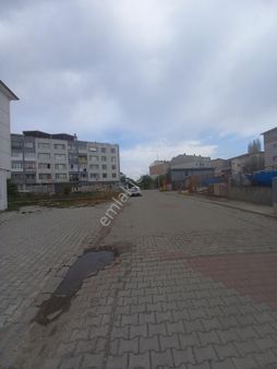 Tekirdağ Altinova 2+1 Satılık Daire