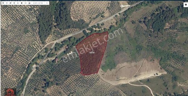 Bursa Gemlik Umurbey'de 13.083 Dönümlük Yatırımlık Fırsat Arsa......