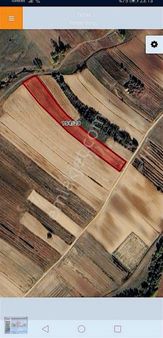 Tekırdag Saray Çayla Köyünde Satılık 6262 M2 Tek Tapu Tarla