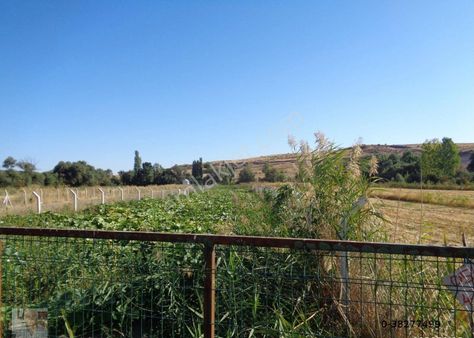 Kızılinler Mah. Porsuk Kanal Boyunda Değerli Tarla