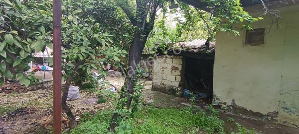 Nazilli Cumhuriyet Mahallesi Satılık 316 M² Müstakil Ev