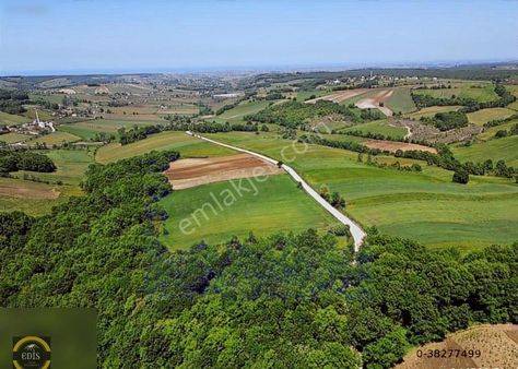 Edis Emlak'tan Satılık Tektapu 57 Dönüm Emsalsiz Tarla