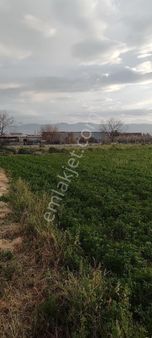 Mirac Emlaktan Denizli Sarayköy E 2km Uzaklıkta 1500 M2 Arsamiz Satılıktır