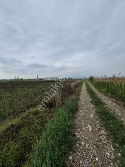 Mirac Emlaktan Denizli Sarayköy Merkezde 3.500 M2 Verimli Sulak Arazimiz Satılıktır