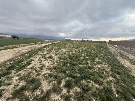 Karamanlı Manca Köyünde Asvaltın Dibinde İki Tarafı Yol Kupon Nitelikte 3900m2 Tarla (videolu İlan)