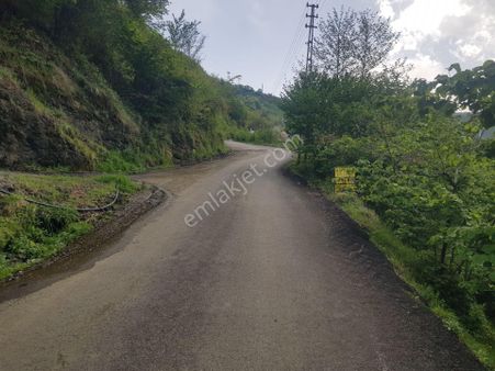 Adacık Satılık Fındıklık