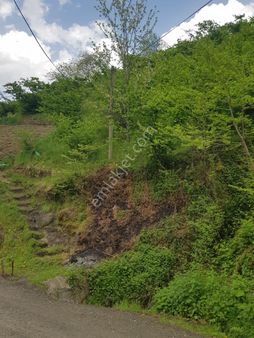 Adacık 500m2 Arazı