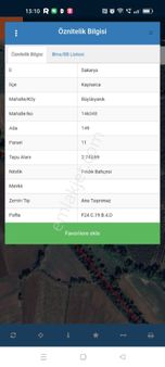 Sakarya Kaynarca Da Satılık Fındık Bahçesi