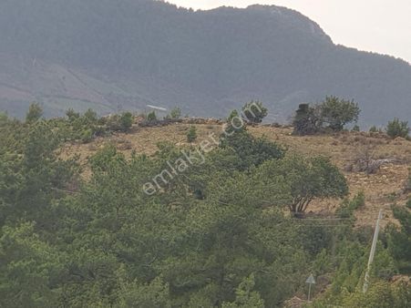 Aslan Emlaktan 20 Dönüm Deniz Doğa Manzaralı Tarla