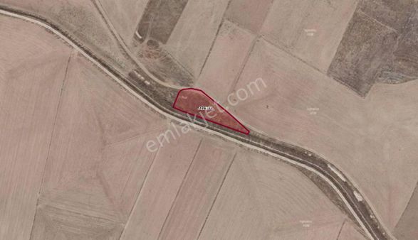 Kerman Gayrimenkul Üçkuyu Köyünde 1.660 M2 Kök Tapu Tarla